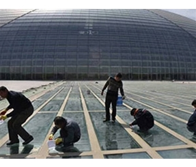 T100透明聚脲防水膠